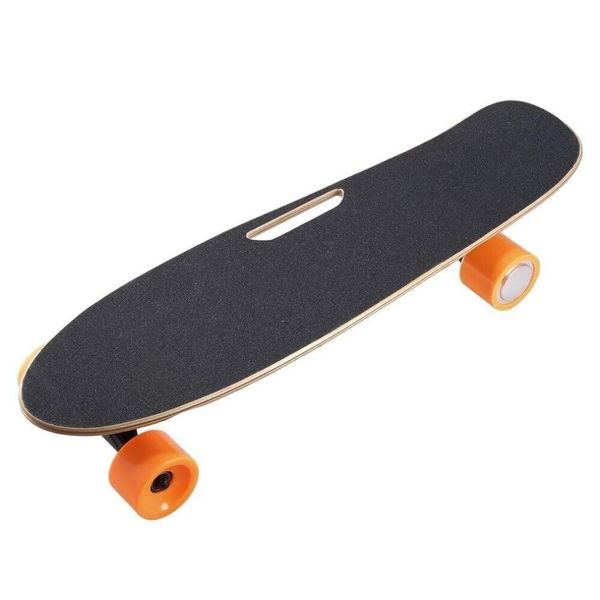 Fishtail Electric Skateboard