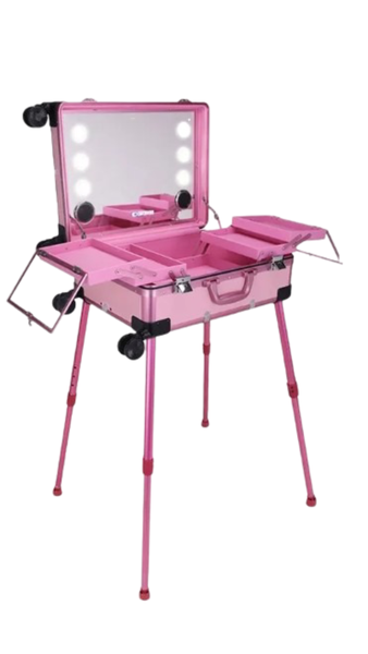 Stylish Lightweight Cosmetic &amp; Music Case - Pink