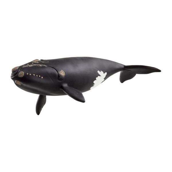 Schleich Wild Life - North Atlantic Right Whale Figurine - 19.5cm Long