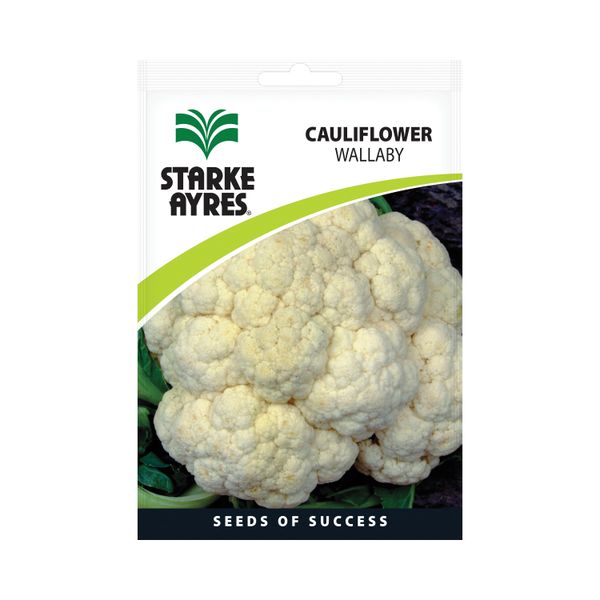 Starke Ayres Cauliflower Wallaby