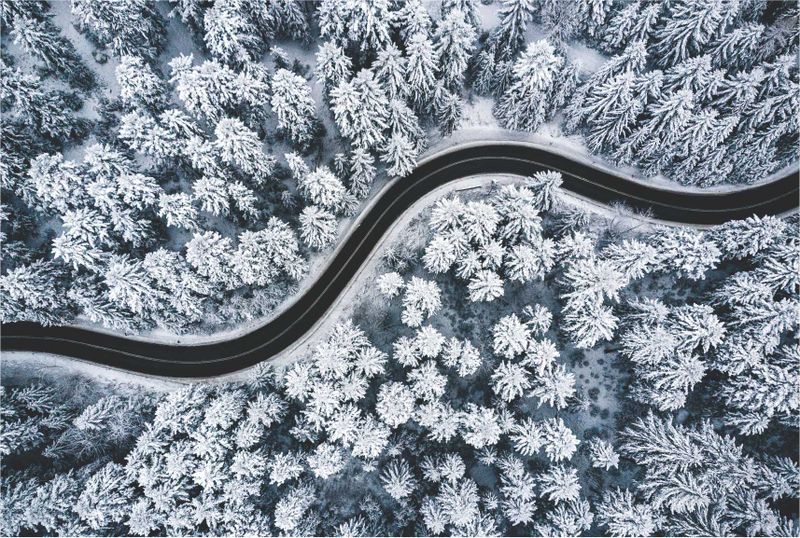 Laptop Skin Winter Road