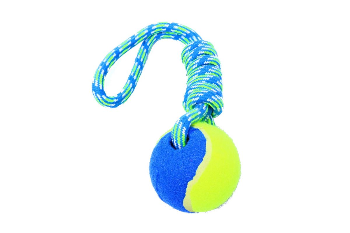 Dog Ball Rope Toy | Shop Today. Get it Tomorrow! | takealot.com