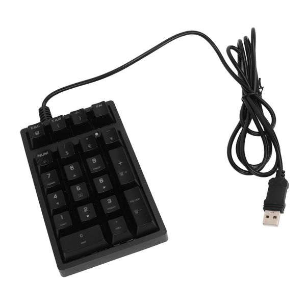 21-Key Numpad (Blue Switch)