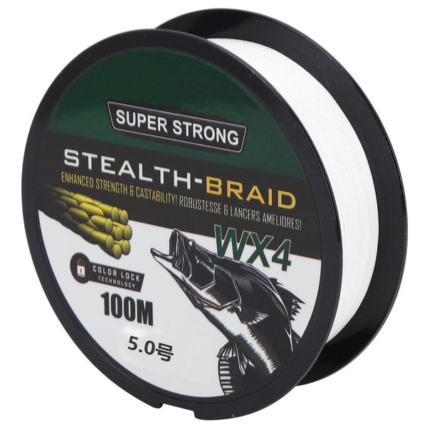 Braided Fishing Line 100M 4-Weave PE Tackle for Lure Bait