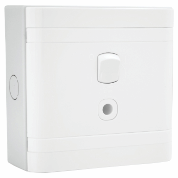 LESCO, 25A 2 Pole 4x2 Surface Mount Geyser with Cord Grip Isolator White
