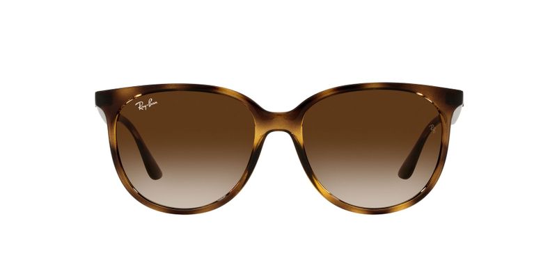 Ray-Ban Sunglasses RB4378 710/13 54