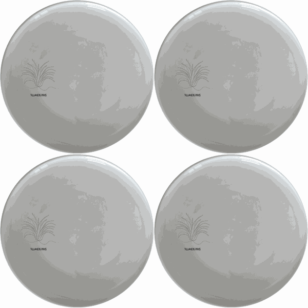 Tillandsia Air Plants Side Plate Set of 4 - Range 2
