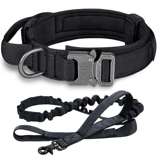 Dog Collar with Leash Set