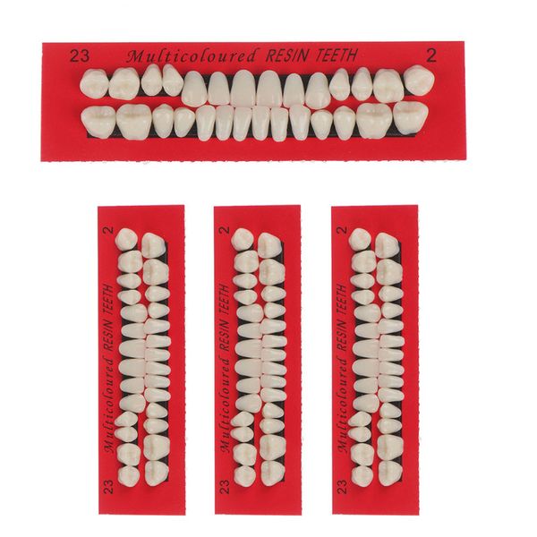 4 Sets Acrylic Resin Artificial Teeth Acrylic Dentures Upper and Lower Teeth