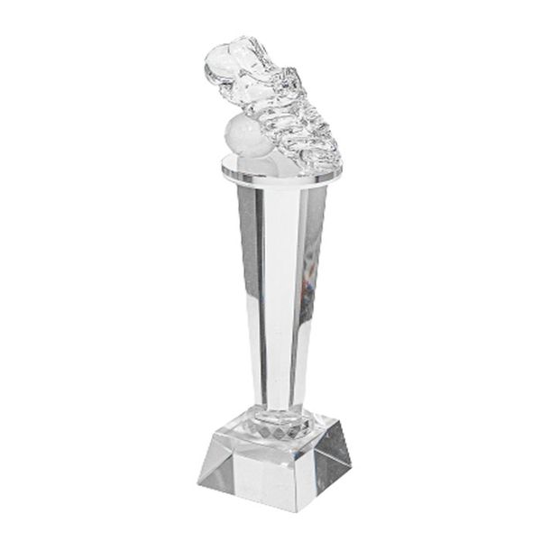 Glass Sandblasted Soccer Boot &amp; Ball Trophy