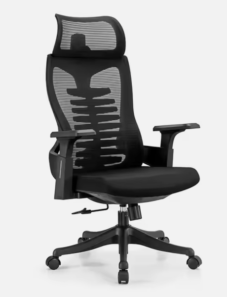 Eay Thing - High Back Ergonomic Office Chair With Headrest Premium Quality