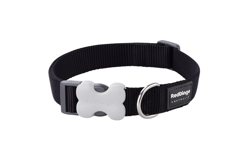 Red Dingo Dog Collar - Classic - XS