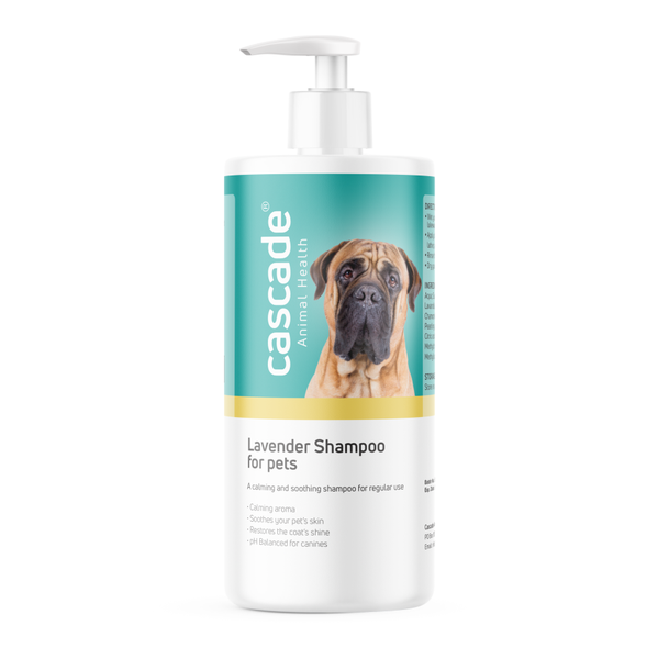 Cascade Animal Health - Lavender Shampoo for Pets - 500ml