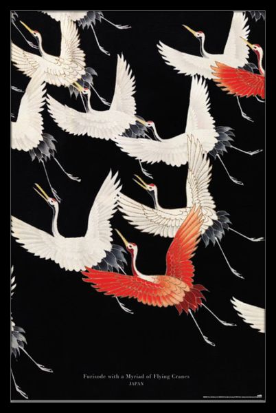 Myriad Of Flying Cranes Poster with Black Frame