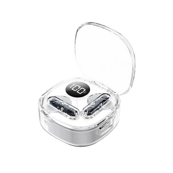 BT Earbuds with LED Power Display