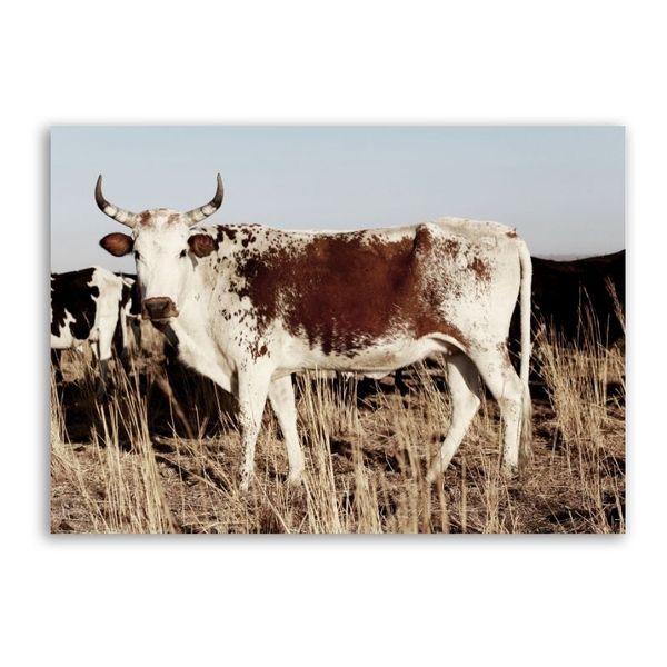 White Brown Nguni Canvas Animals Wall Art