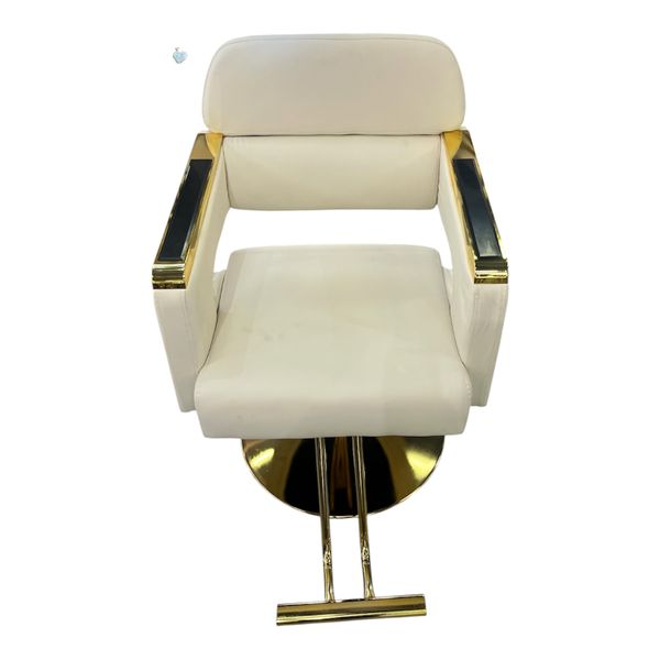 Luxury Hydraulic Salon Styling Chair - Gold Base