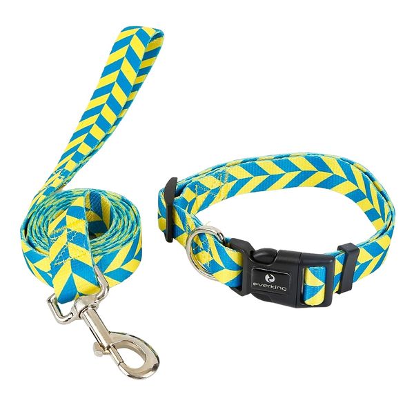 Modern Yellow and Turquoise Dog Collar and Leash Set