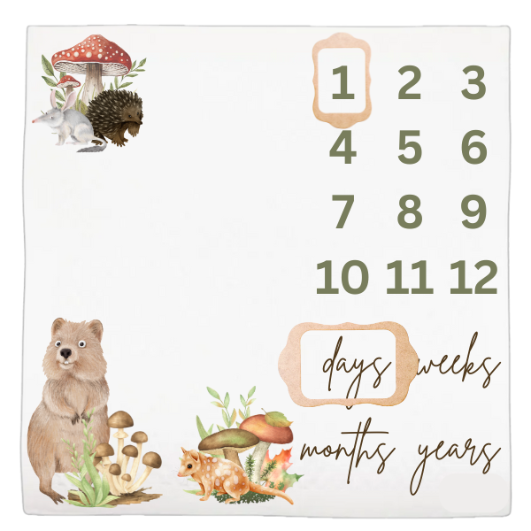 Baby Milestone Blanket Soft Memory Blanket-Apple of my eye