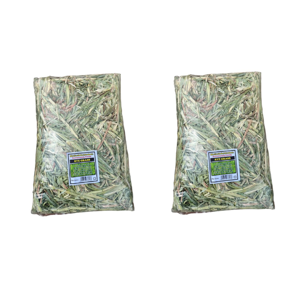 Rye Grass for Rabbits / Chinchillas Combo Pack of 2 Blooks