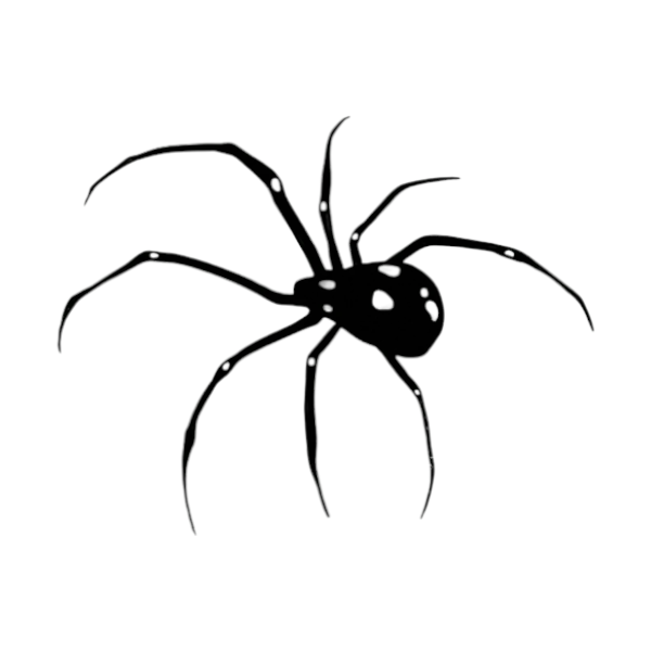 Medium Spider Print Waterproof Temporary Tattoo - Black