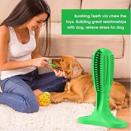 Best dog sales toothbrush toy