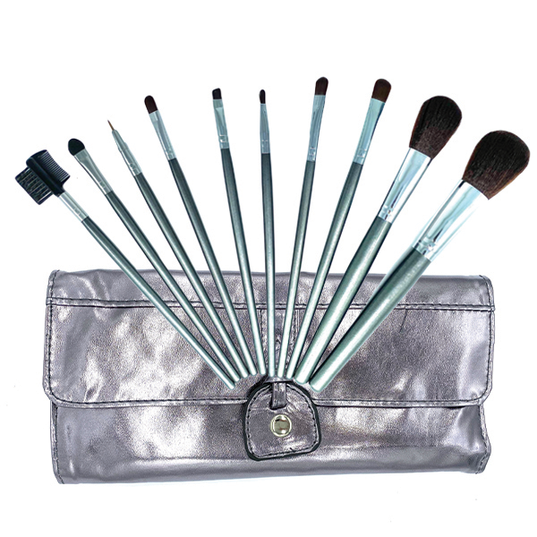 10 Piece Makeup Brush Set Your Everyday On The GO Makeup Brush Set With Bag