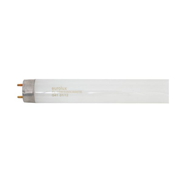 Eurolux - T8 Fluorescent G13 15w Cool White