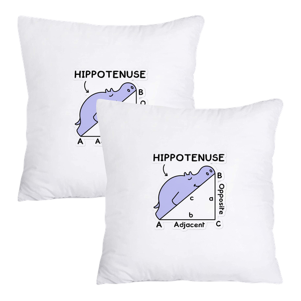 Scatter Cushion Cover Set (50cmx50cm) - Hippotenuse