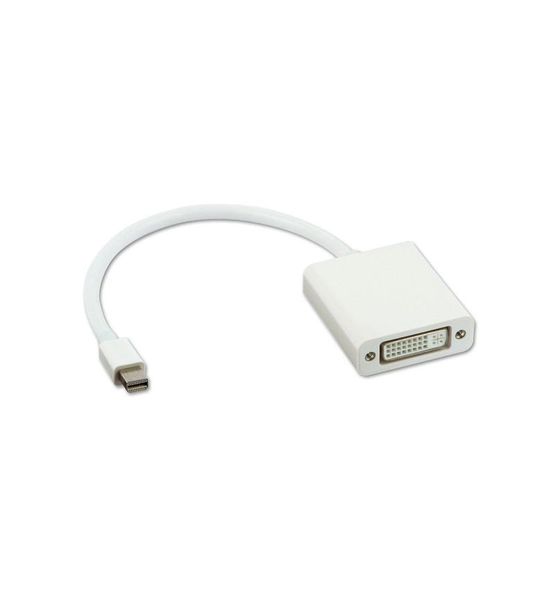 PTech Mini DisplayPort (MiniDP) Male to DVI Female 4K@30Hz Adapter