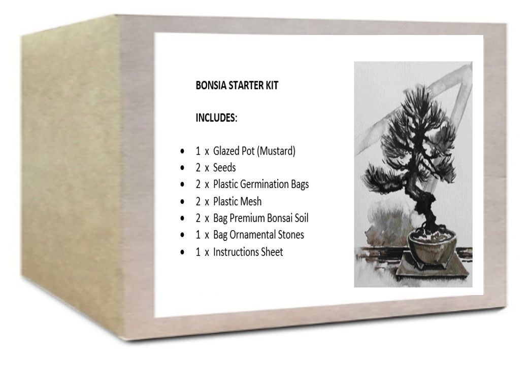 Bonsai Starter Kit (Japanese cascade maple) Shop Today. Get it