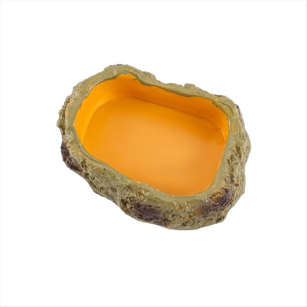 Reptile Feeding Bowls Terrarium Plate for Frog Tortoise Xs
