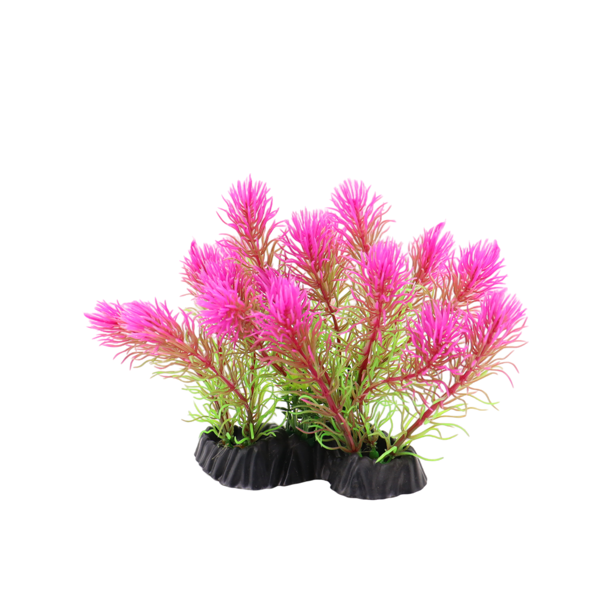 Multi Color and Model Fish Tank Accessories Purple with Green Tips