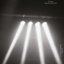 Beautiful Feelings EP (Vinyl / 12" EP)