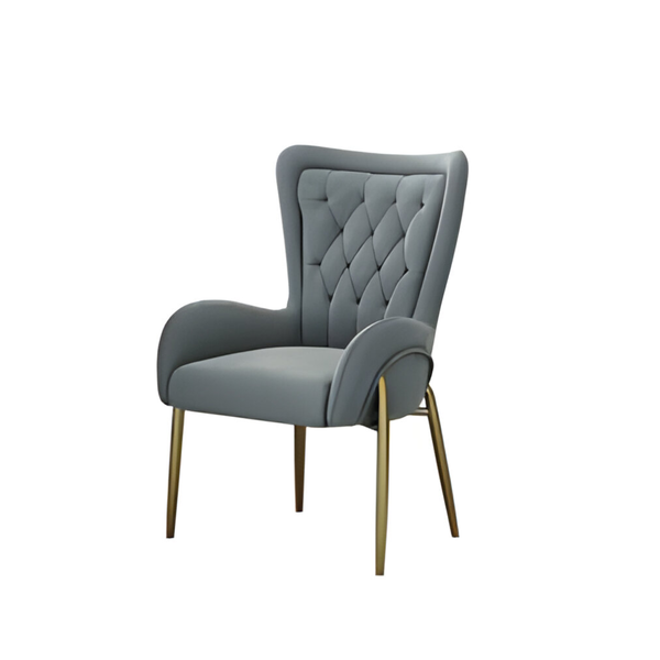 Indoor Modern Dining Room Chair Y-2085