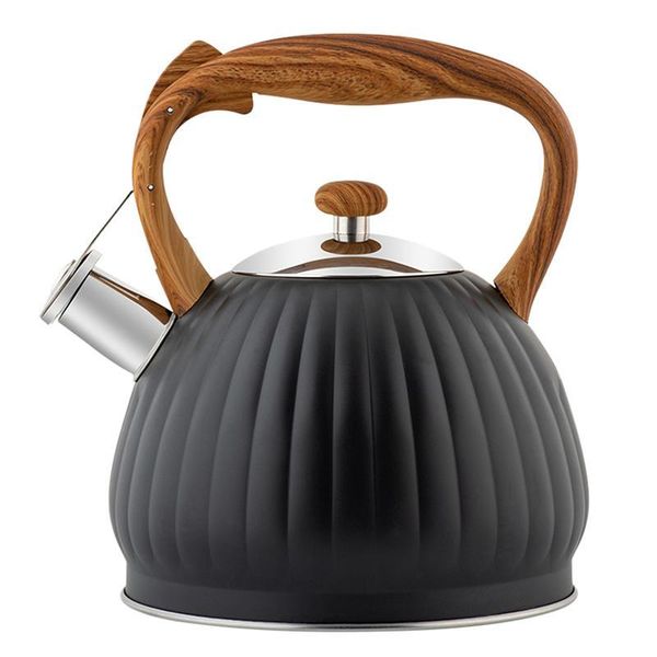 Water Heater Bubble Kettle | Water Kettles