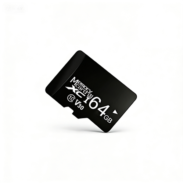 64GB 100Mb/s SD Card C10 Exceria Plus