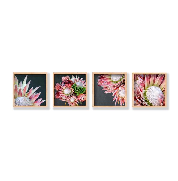 Cape Art Framed Pine Wall Art Canvas 4 Piece Collage Proteas