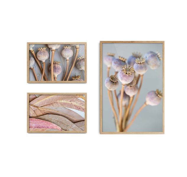 Cape Art Wall Art CURATED 3 Piece IN THE GARDEN