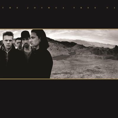The Joshua Tree (Vinyl / 12" Album)
