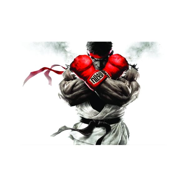 Ryo Street Fighter - A1 poster