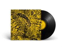 Little Sunflower (Vinyl / 10" EP)