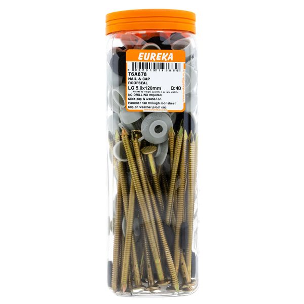 EUREKA Roof Nail with EVA Bonded washer &amp; Nylon Cap 5 x 120mm Q:40 T6A678