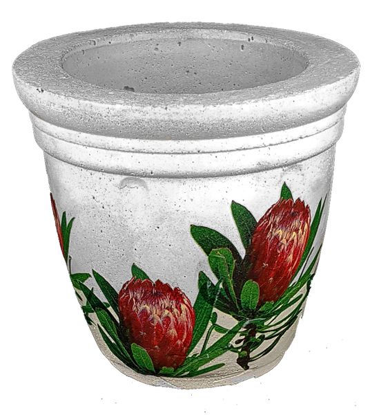 Perfectly Potty - Artisan Cement Pot - Protea - S014