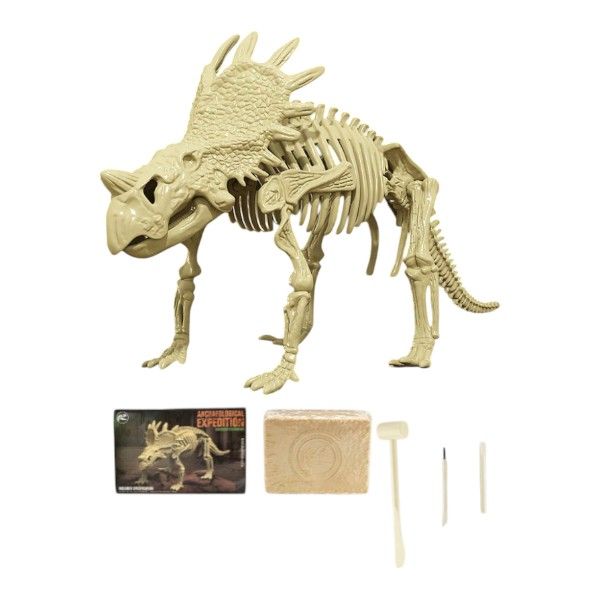 Educational Dinosaur Fossil Excavation Kit - Euphorbia