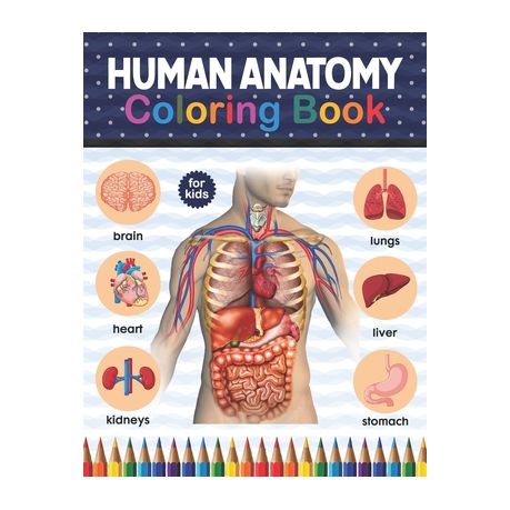 Human Anatomy Coloring Book For Kids Human Body Coloring Activity Book For Kids Human Body Anatomy Coloring Book For Kids Boys And Girls And Medi Buy Online In South Africa