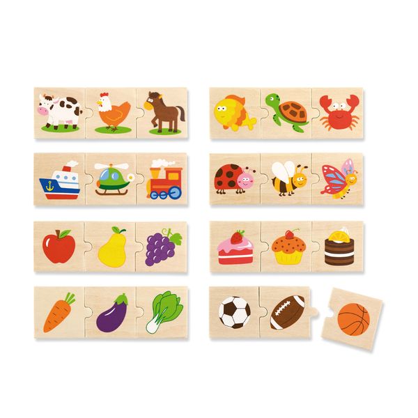 Categorizing Puzzle Set