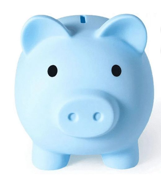 Blue Piggy Bank - Plastic