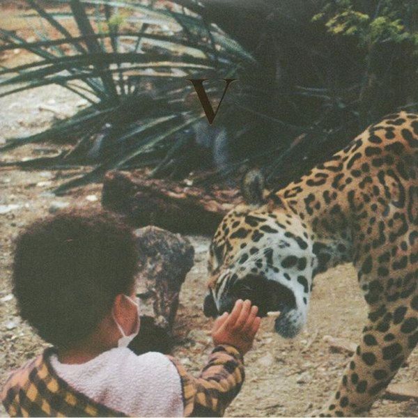 Unknown Mortal Orchestra - V Limited Edition 2LP Vinyl Gatefold + Download