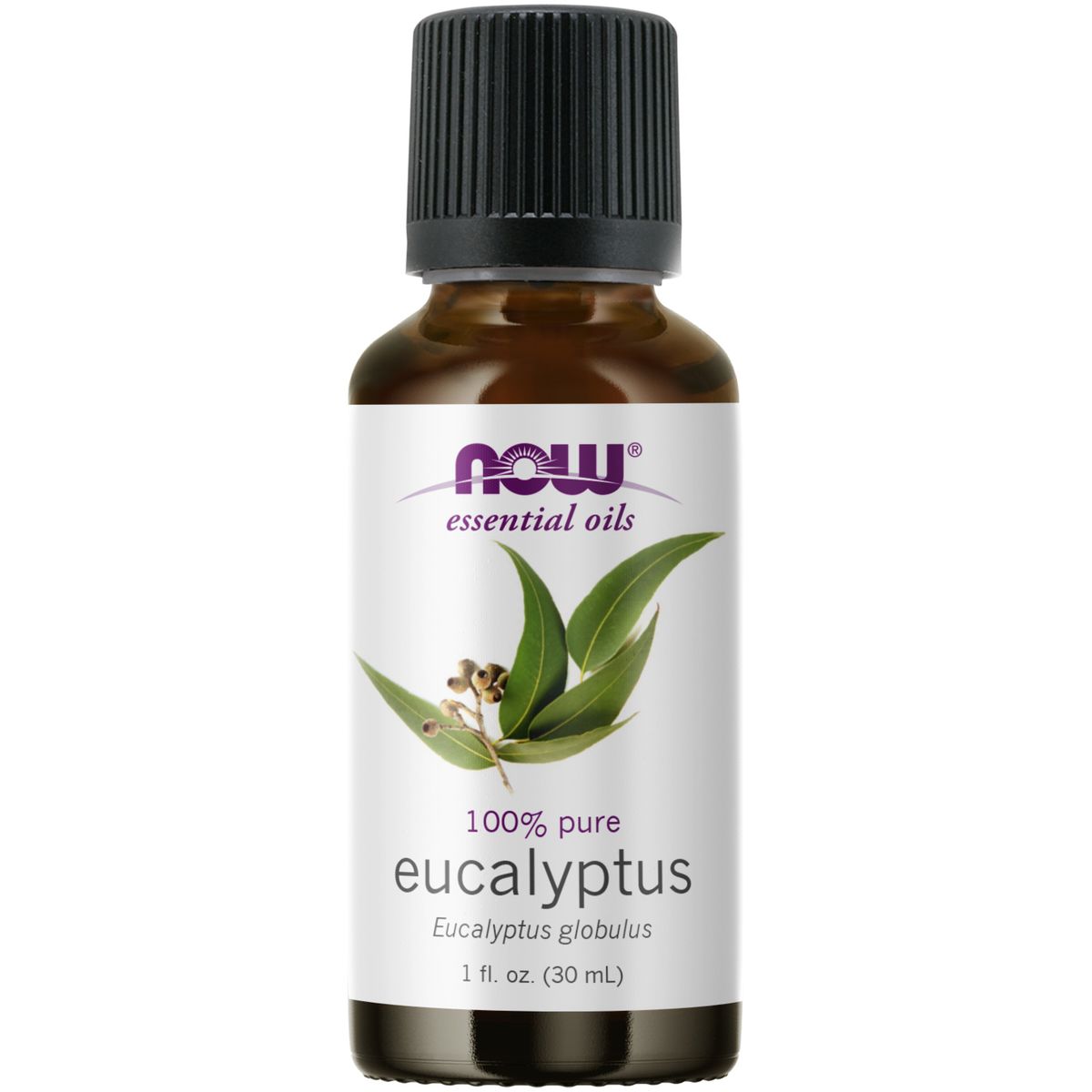 NOW Essential Oils Eucalyptus Globulus Oil - 30ml | Buy Online in South ...